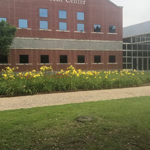 Meet your Posher, Airin